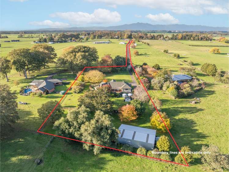 81b Horrell Road Morrinsville_2