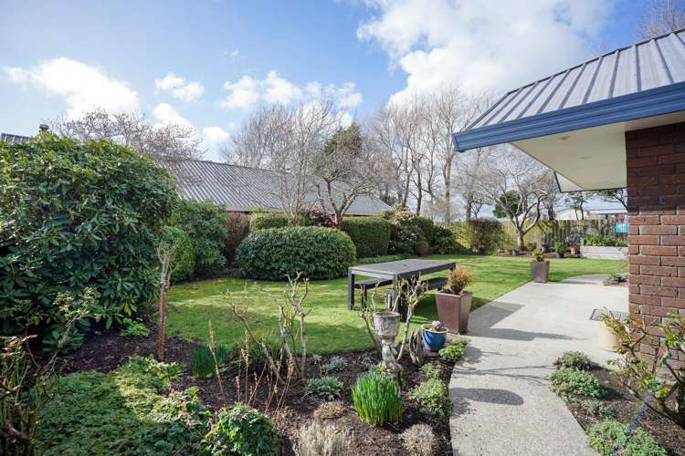 181 Ward Street Hargest_21