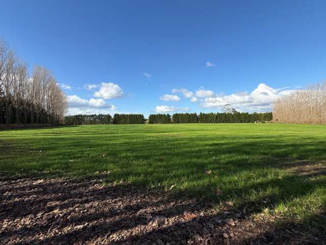 Prime Kiwifruit Opportunity - Lifestyle included!!