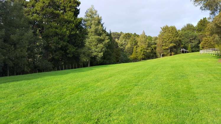 9 Pearson Road Whitford_11