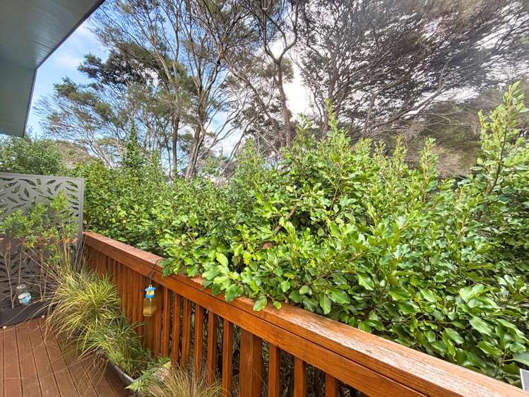 5D Pyramid Place Glen Eden_9