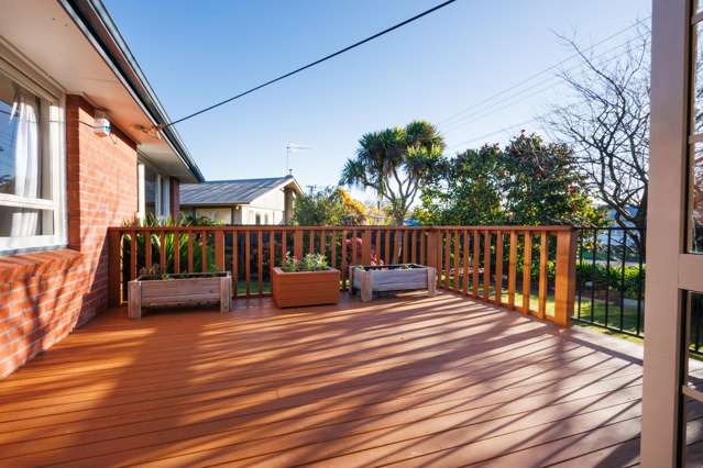 10 Slacks Road Awapuni_2