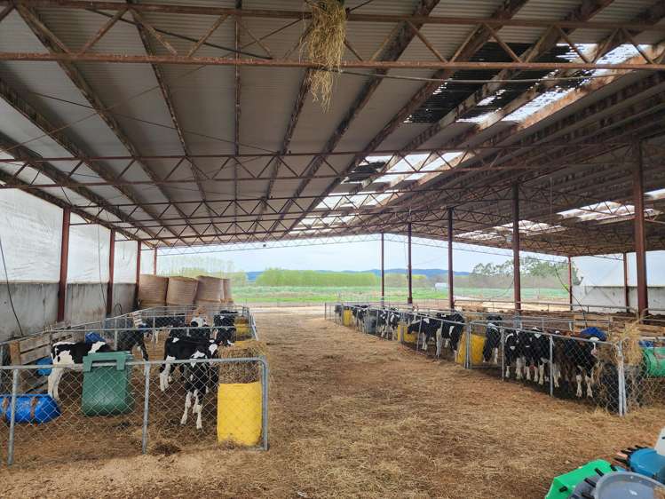 119 The Crescent Road Kaitangata_20