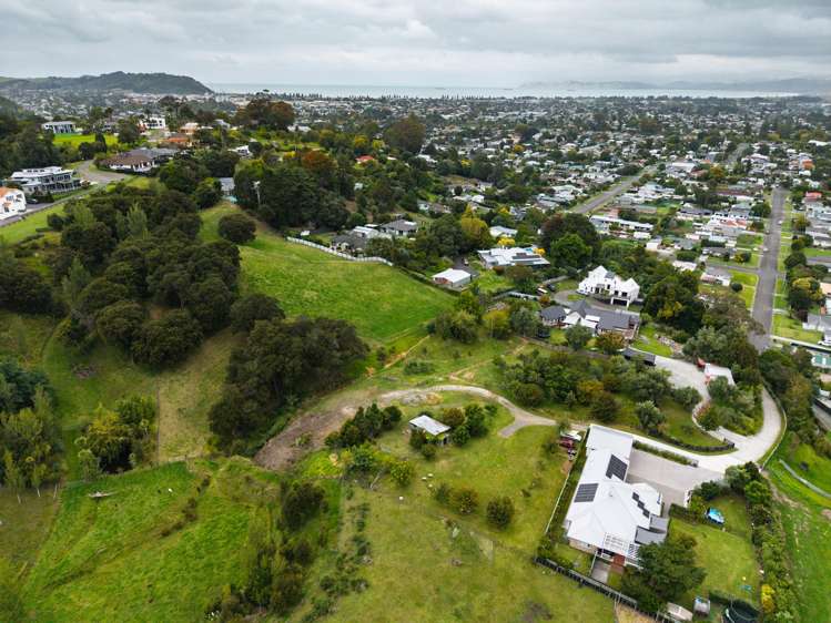 59 Ayton Street Mangapapa_6