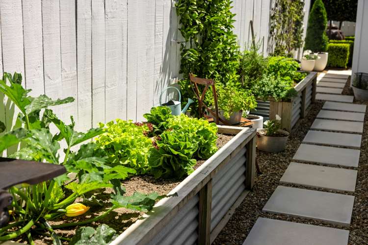 88c The Boulevard Papamoa_21