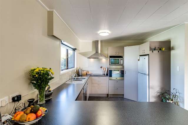 12 Norrie Place Tamatea_2