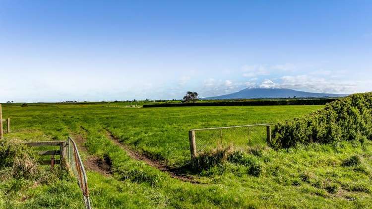 5B2A Hastings Road Okaiawa_6