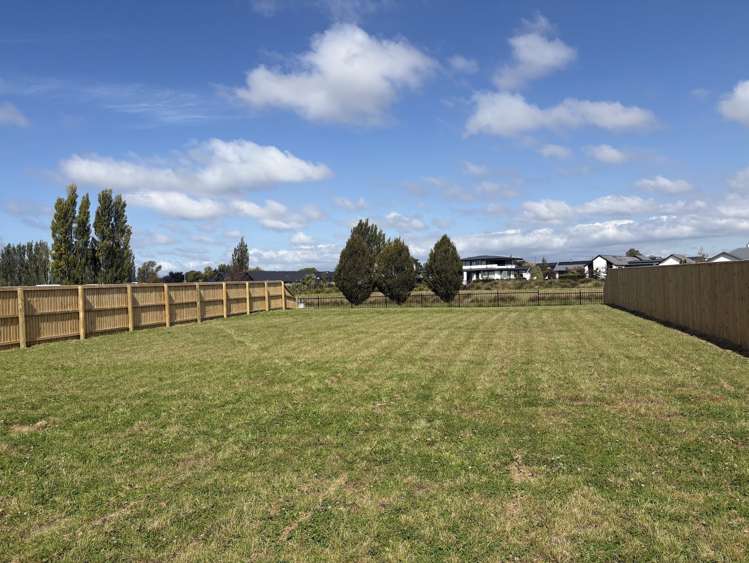 Kiekie Road Casebrook_10