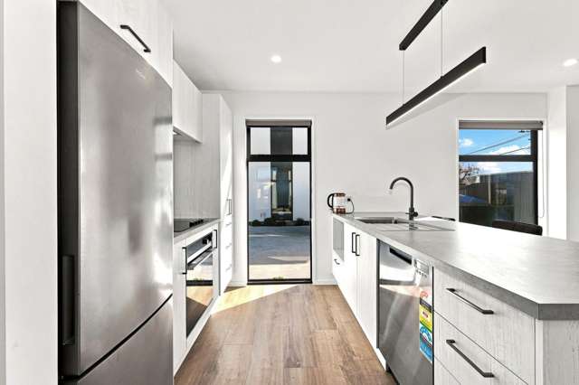 59a Winsor Crescent Spreydon_3