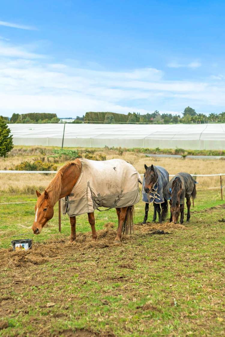 175A Stanners Road Kerikeri_32