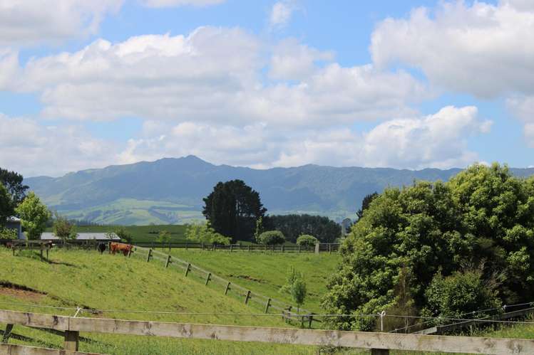 Lot 1 - 28 Brown Road Te Poi_9