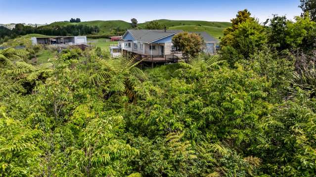 131 Tiromoana Road Maata_1