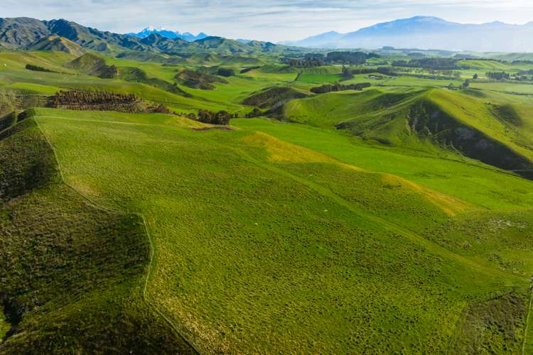 Marama Road Seddon_14