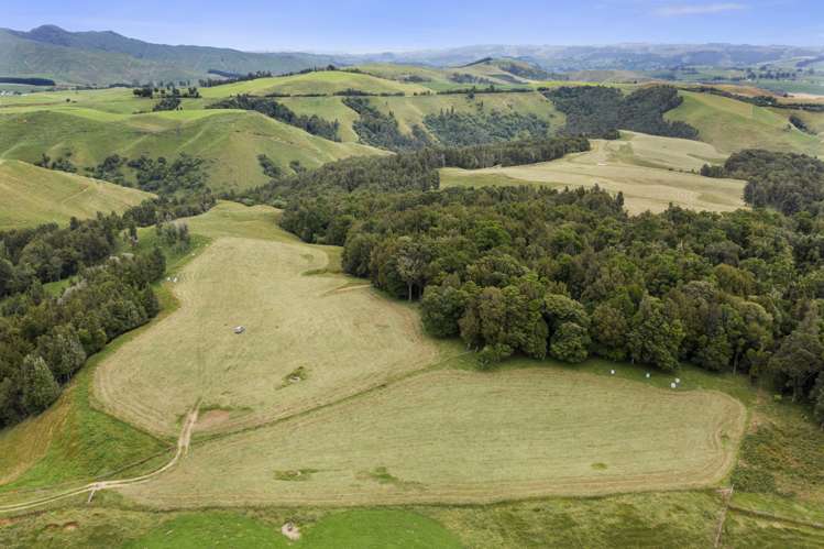 134 Millard Road Maihiihi_7