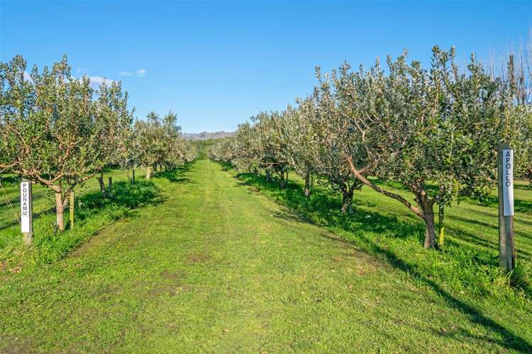 280 Tyntesfield Road Waihopai Valley_11