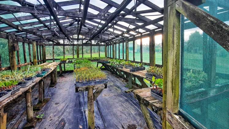 74 Okahukura Road Tapora_13