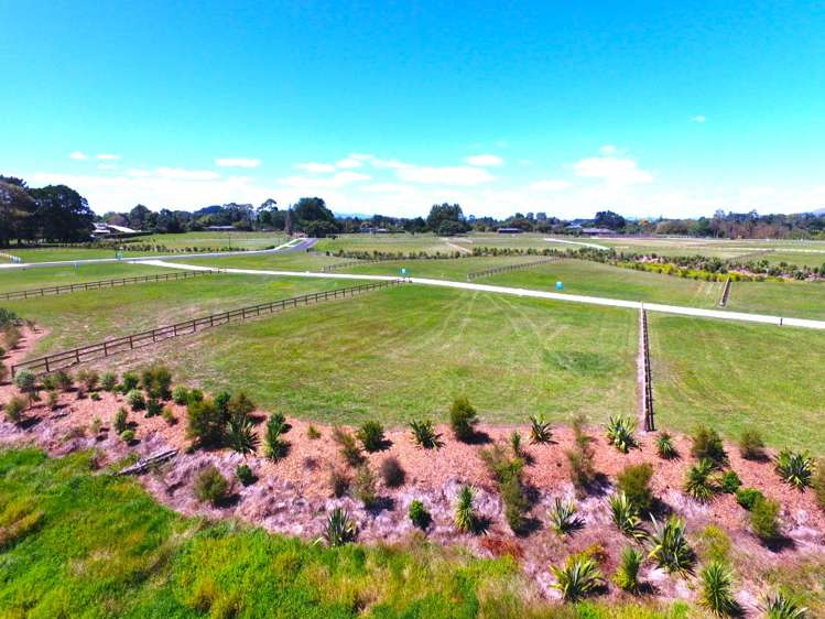 Lot 22 Baffin Street Pirongia_7