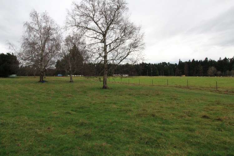 1,3,5 Luna st,_2