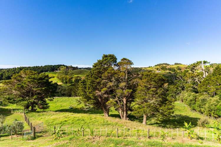 573 Valley Road Kaiwaka_13