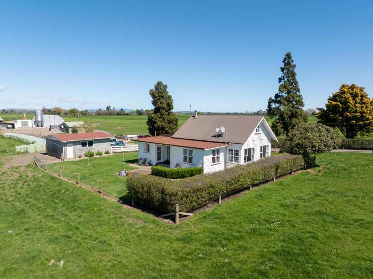 64 No 4 Road Morrinsville_16