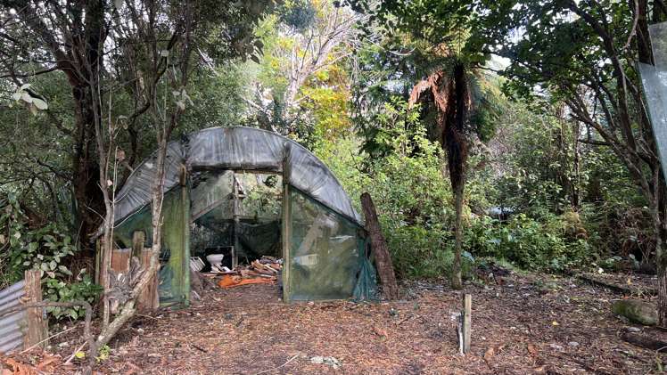 28 Greenfield Street Hector_24