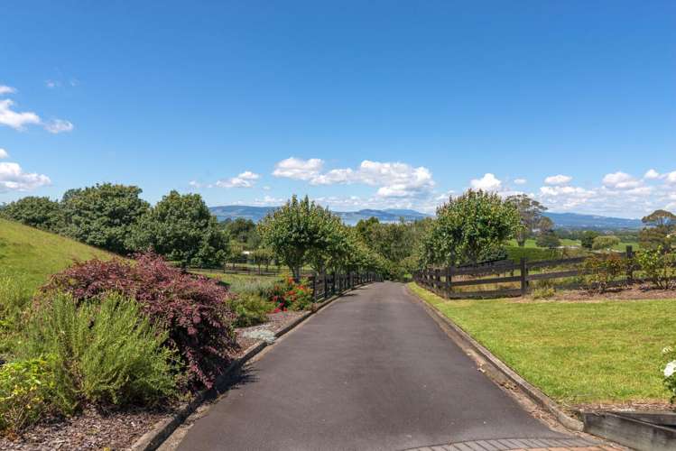 295 Oturoa Road_4