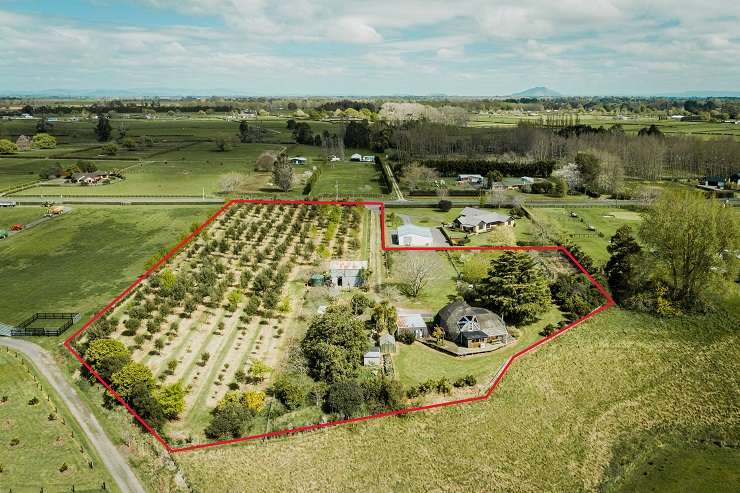 A geodesic dome home on Mystery Creek Road, in Ohaupo, is being sold by tender. Photo / Supplied