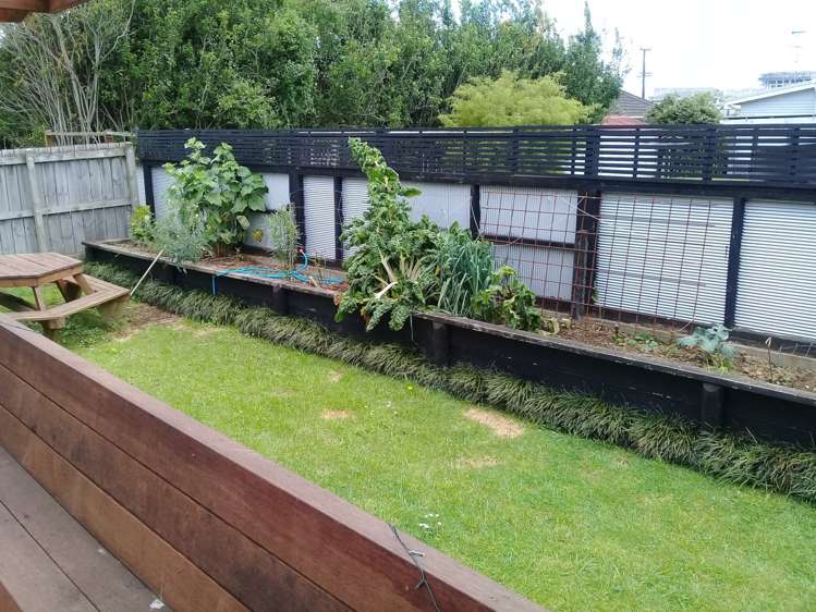 10a Tomuri Place Mount Wellington_13