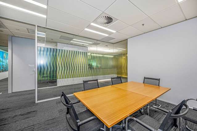 123 Carlton Gore Road Newmarket_3