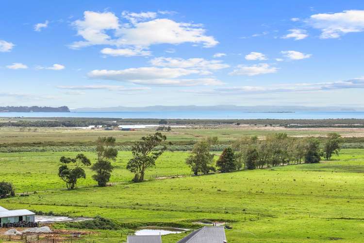 108 South Head Road South Head_32