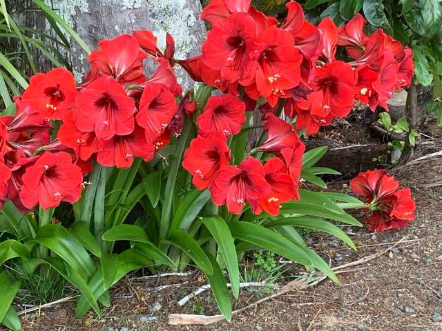 1665 Matapouri Road Matapouri_3