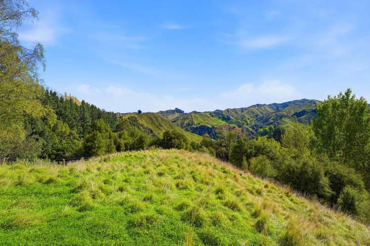 3499 State Highway 4 Kakatahi_33