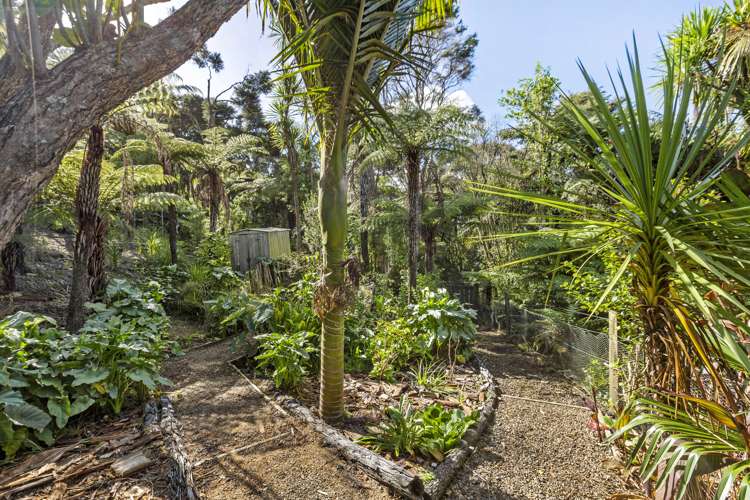 102b Greenslade Road Raglan_18