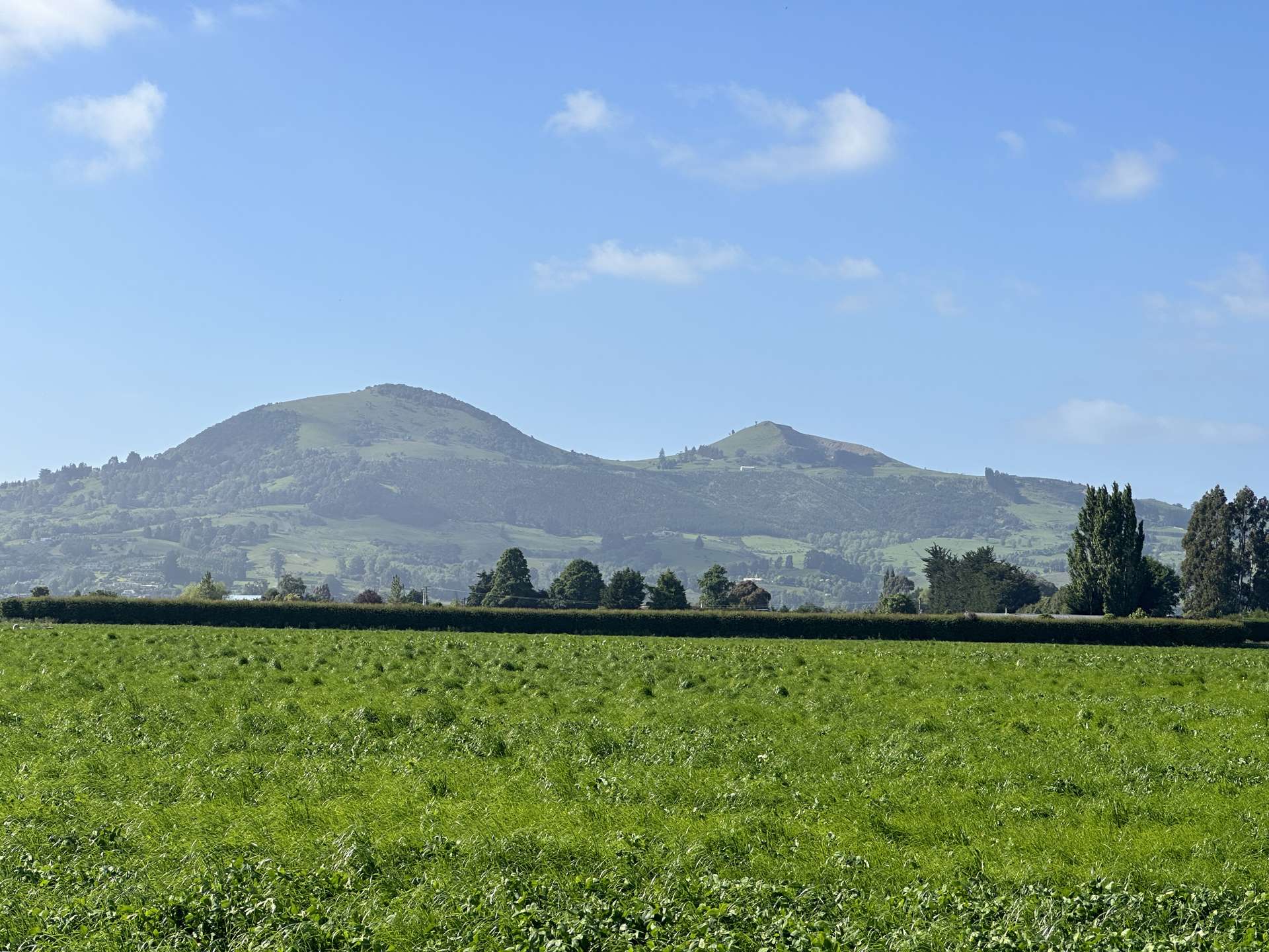 101 Dukes Road Mosgiel_0