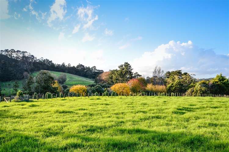 211 Foster Road Waimauku_7