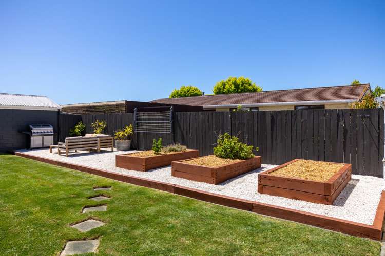 99b Redwood Street Redwoodtown_13