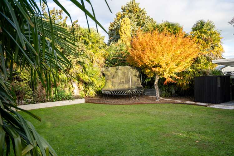 128 Scott Street Leamington_15