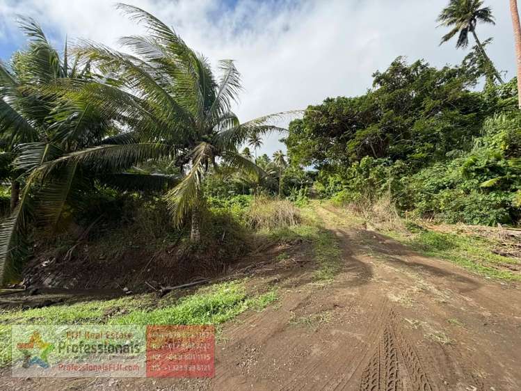 Address withheld Savusavu_8