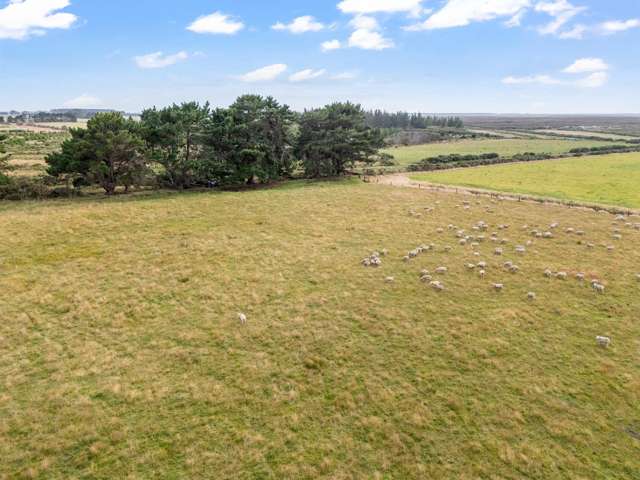 557 Tiwai Road Invercargill_4
