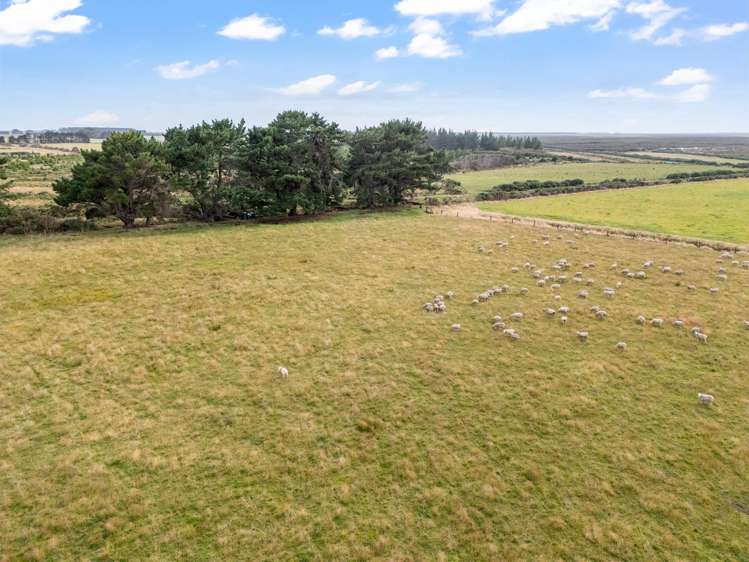 557 Tiwai Road Invercargill_4