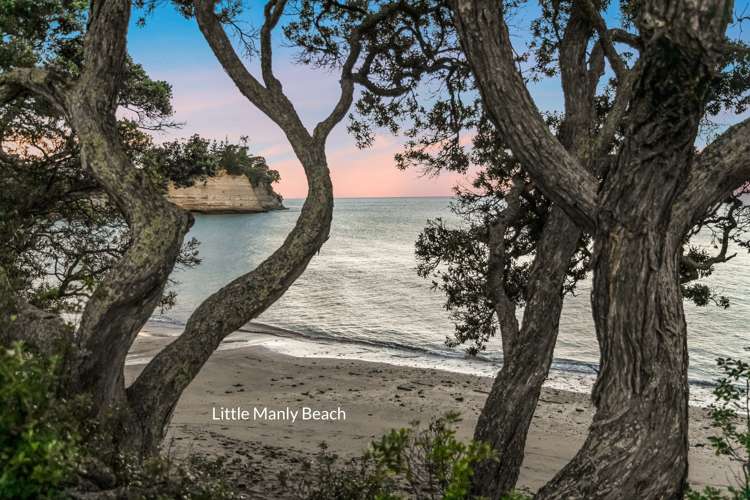 933a Whangaparaoa Road Manly_14