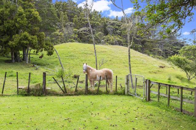 161 Horsman Road Waitakere_4