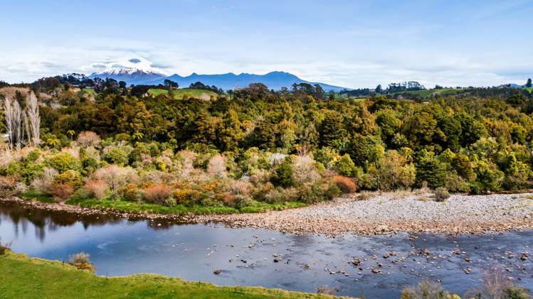 574 Smart Road Hillsborough_7