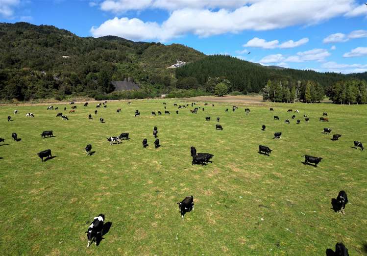 522 Gannon's Road Reefton_5