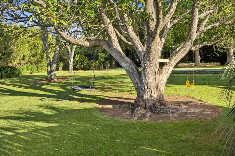 84 Golding Road Pukekohe_25