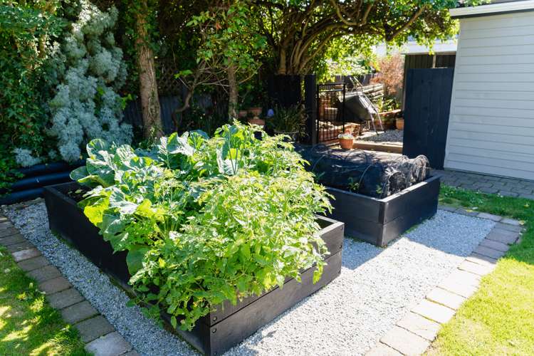 166 Victoria Road Saint Clair_26