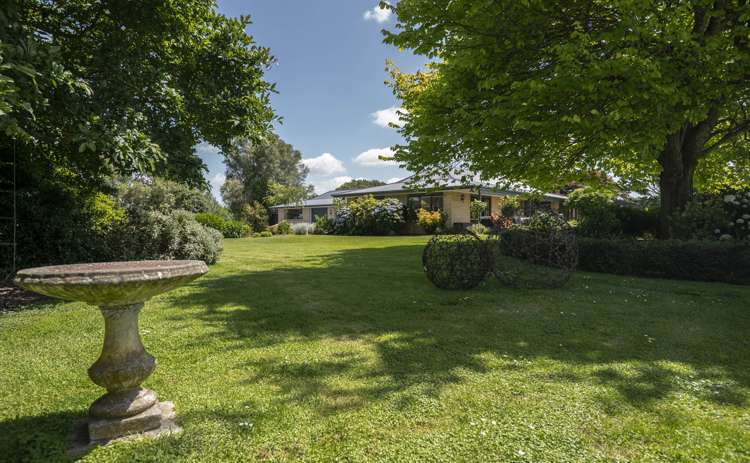 1258 Kaipaki Road Cambridge_9