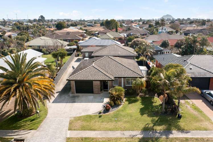 11A Hibiscus Avenue Mt Maunganui_5