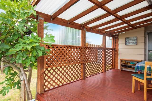 12 Braemar Street Levin_3