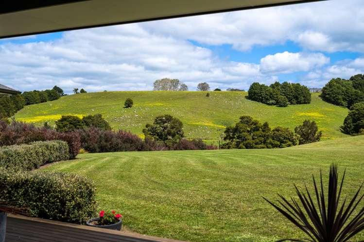 4 Field View Kerikeri_21